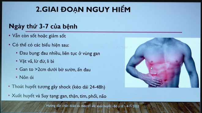 Phát động chiến dịch phòng chống sốt xuất huyết tại TP. Hồ Chí Minh - Ảnh 3.