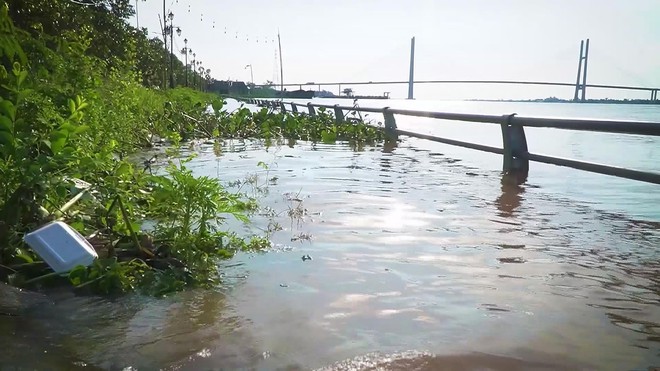 TP. Hồ Chí Minh cảnh báo triều cường báo động 3: Tăng nguy cơ ngập úng và yêu cầu ứng phó khẩn cấp - Ảnh 3.