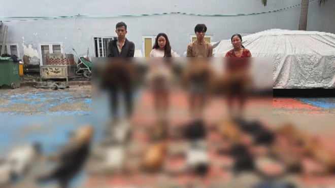 Chương trình 60 Giây ngày 26/10/2025 | Phòng Cảnh sát Hình sự TP. Hồ Chí Minh bắt giữ 4 đối tượng trộm cắp và tiêu thụ chó, mèo - Ảnh 1.