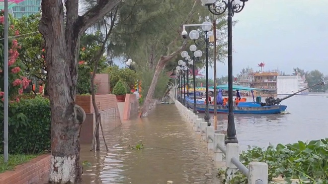 Chương trình 60 Giây ngày 26/10/2025 | Phòng Cảnh sát Hình sự TP. Hồ Chí Minh bắt giữ 4 đối tượng trộm cắp và tiêu thụ chó, mèo - Ảnh 4.