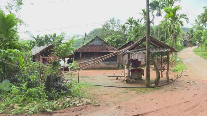 Chương trình 60 Giây ngày 27/10/2025 | Vũng Tàu: Hơn 1.000 Người Tham Gia Tập Luyện Thể Thao - Ảnh 2.