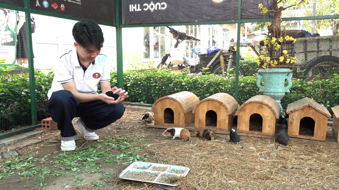 Hiện thực hóa giấc mơ Đại học xanh tại TP Hồ Chí Minh - Ảnh 7.