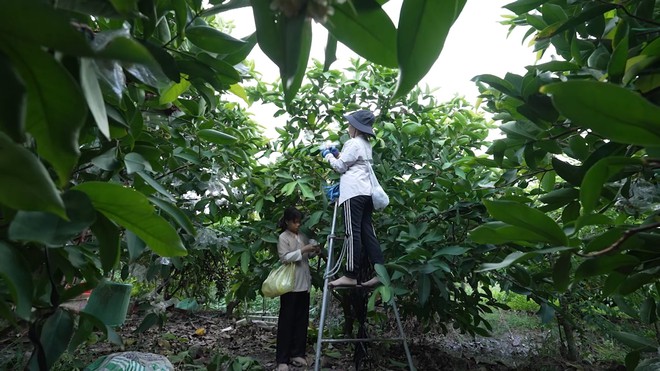Mẫn Thi: Cô học trò nhỏ khiến trường quay rơi nước mắt - Mái ấm gia đình Việt- Ảnh 4.