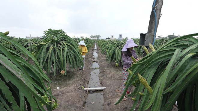 Tuyết Mai: Cô học trò nghèo có ước mơ làm bác sĩ - Mái ấm gia đình Việt- Ảnh 10.