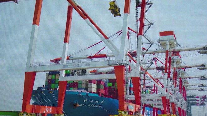 10 năm Cảng Tân Cảng – Cái Mép Thị Vải: Dấu ấn phát triển và ghi nhận từ Chính phủ - Ảnh 2.