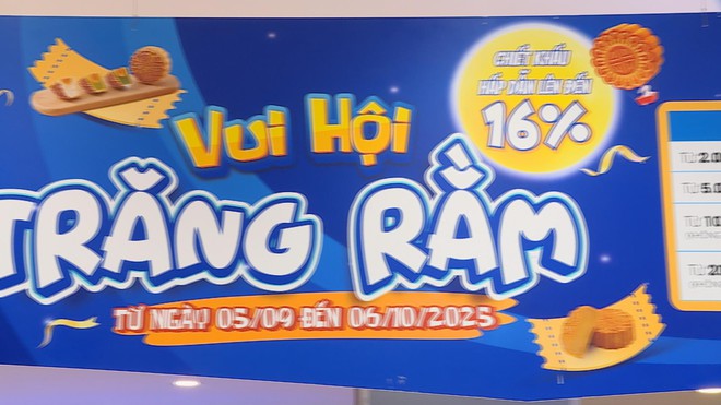 TP. Hồ Chí Minh: Sôi động chương trình kích cầu mua sắm dịp Tết Trung thu- Ảnh 5.