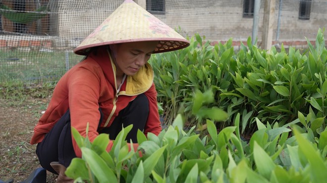 Ngôi nhà trống trải không có cửa và cô bé mồ côi Bảo Hân nằm ngủ võng- Ảnh 4.