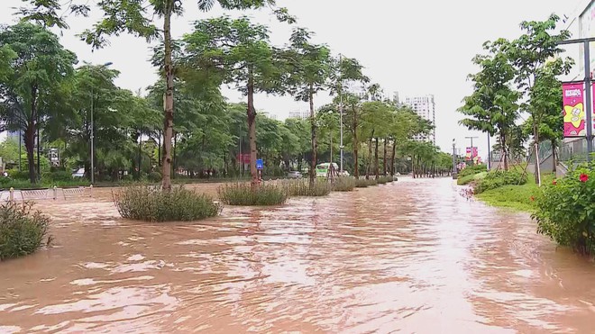 Những người âm thầm khơi dòng giữa biển nước Hà Nội- Ảnh 2. Những người âm thầm khơi dòng giữa biển nước Hà Nội- Ảnh 2.