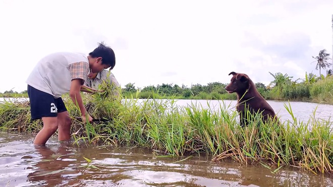 Em Trọng Khang: Cậu bé mồ côi và những đêm bắt ếch kiếm tiền phụ giúp bà - Ảnh 7.
