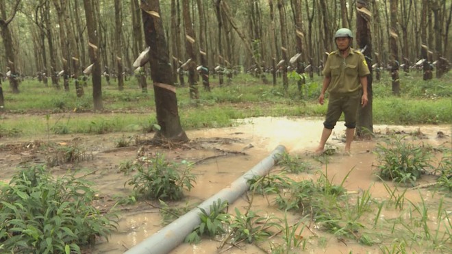 Khẩn trương ứng phó, khắc phục tình trạng ngập cục bộ kéo dài - Ảnh 6.