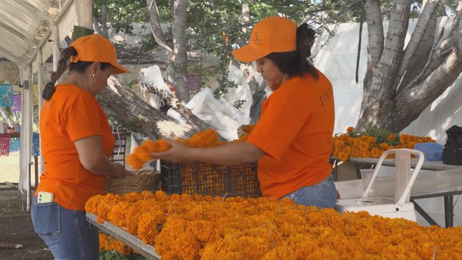 Mexico chuẩn bị cho lễ "Ngày của người chết" - Ảnh 2.