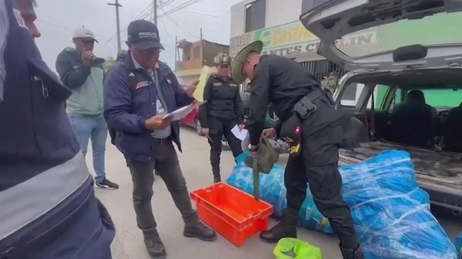 Peru: Phát hiện một lô vây cá mập lớn chuẩn bị đến châu Á - Ảnh 5.
