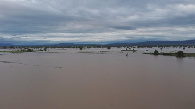 60 Giây ngày 11/11/2025 I Cảnh báo giả mạo Cổng thông tin điện tử Bộ Tài chính - Ảnh 1.