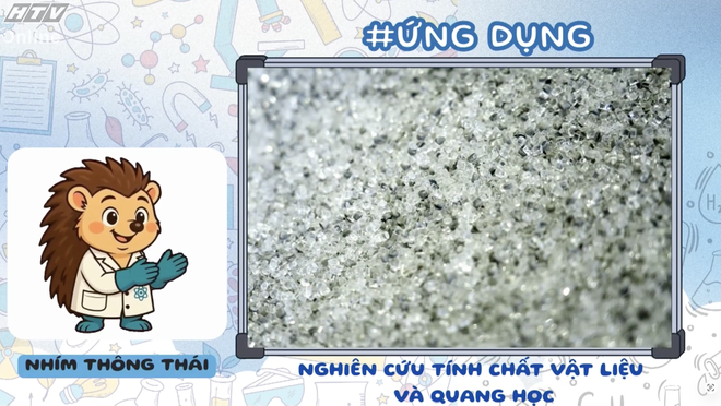 Góc nhỏ kỳ diệu: Khám phá bộ môn bóng chuyền - Ảnh 15.