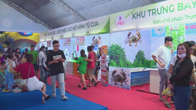 Thử ngay cua Cà Mau chuẩn vị ngay tại TP. Hồ Chí Minh với Lễ hội Cua Cà Mau 2025- Ảnh 3.