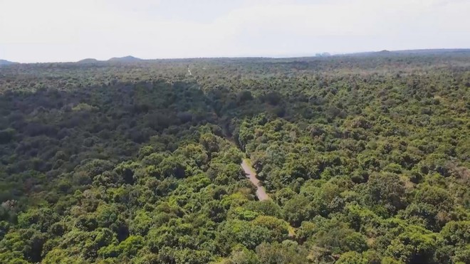 Vươn khơi - Ngày 14/11/2025 | TP. Hồ Chí Minh đẩy mạnh phát triển Hồ Tràm, rừng Bình Châu và cụm cảng CM-TV - Ảnh 4.