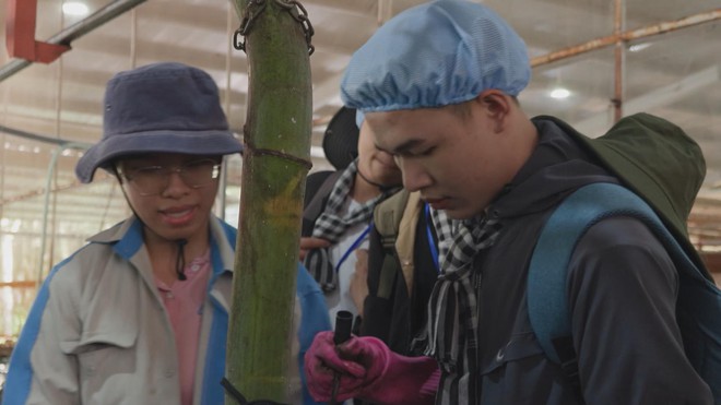 Sinh viên Lào, Campuchia hào hứng trải nghiệm nông nghiệp công nghệ cao tại Việt Nam- Ảnh 3. Sinh viên Lào, Campuchia hào hứng trải nghiệm nông nghiệp công nghệ cao tại Việt Nam- Ảnh 3.