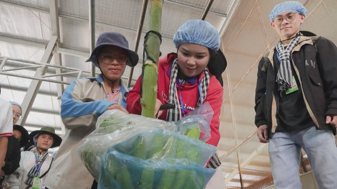 Sinh viên Lào, Campuchia hào hứng trải nghiệm nông nghiệp công nghệ cao tại Việt Nam- Ảnh 1. Sinh viên Lào, Campuchia hào hứng trải nghiệm nông nghiệp công nghệ cao tại Việt Nam- Ảnh 1.