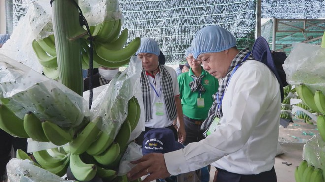 Sinh viên Lào, Campuchia hào hứng trải nghiệm nông nghiệp công nghệ cao tại Việt Nam- Ảnh 2. Sinh viên Lào, Campuchia hào hứng trải nghiệm nông nghiệp công nghệ cao tại Việt Nam- Ảnh 2.