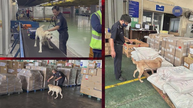 Hải quan Tân Sơn Nhất quyết tâm bảo vệ cửa ngõ hàng không khỏi tội phạm ma túy - Ảnh 2.