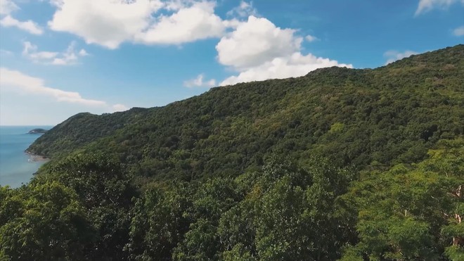 Vươn khơi - Ngày 15/11/2025 | Gần 3.900 tỷ đồng đầu tư phát triển tuyến hành lang đường thủy khu vực phía Nam - Ảnh 3.