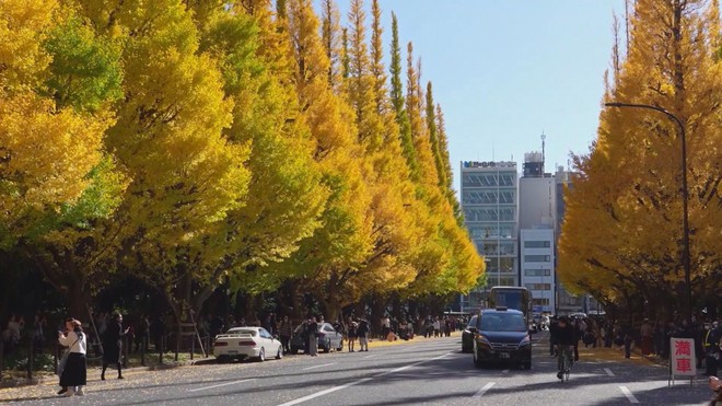 Nhật Bản: Chiêm ngưỡng vẻ đẹp của núi Phú Sĩ vào mùa thu - Ảnh 2.