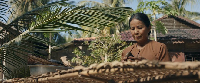 Liên hoan phim Việt Nam lần thứ 24: 16 phim truyện điện ảnh tranh giải - Ảnh 29.