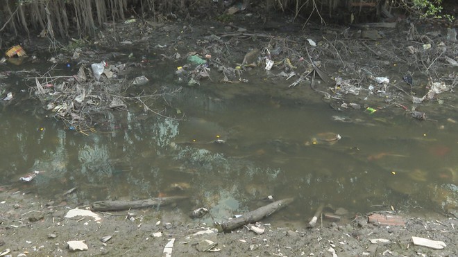 
Chi 17.000 tỷ đồng nạo vét hai tuyến rạch tại TP. Hồ Chí Minh- Ảnh 2.