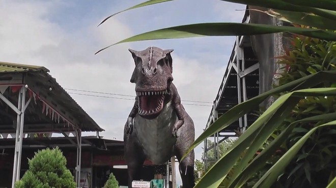 Indonesia:  - Ảnh 4.