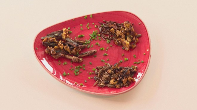 Đức: Quán cà phê phục vụ món SALAD... côn trùng! - Ảnh 4.