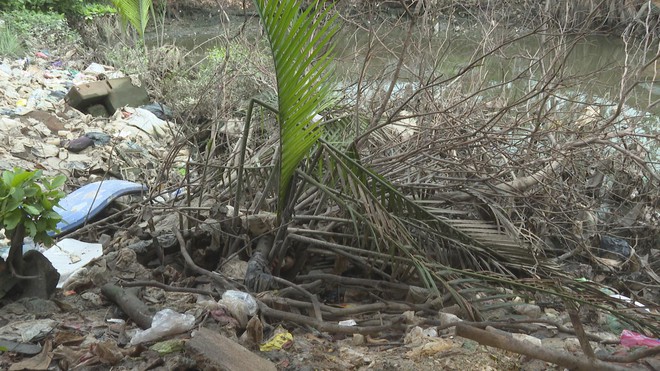 TP. Hồ Chí Minh: Chi hơn 17.000 tỷ đồng "hồi sinh" rạch Bà Lớn và rạch Ông Bé - Ảnh 1.