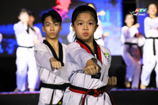 LHVTQT TP. Hồ Chí Minh 2025: Võ thuật Việt Nam - Kết nối hoà bình - Ảnh 2.