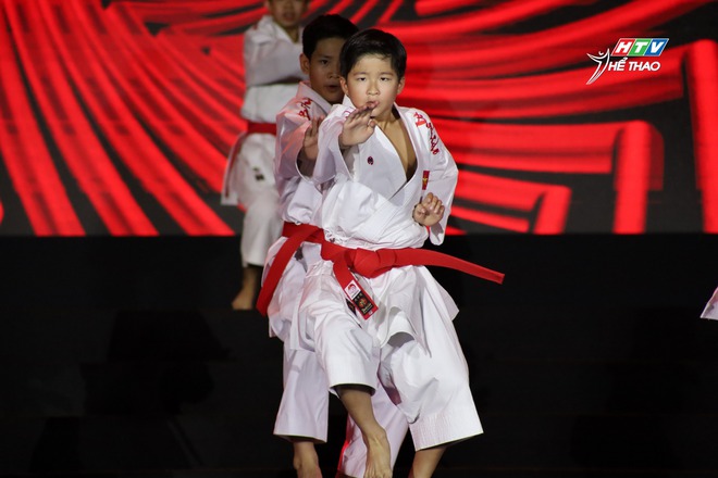 LHVTQT TP. Hồ Chí Minh 2025: Võ thuật Việt Nam - Kết nối hoà bình - Ảnh 4.