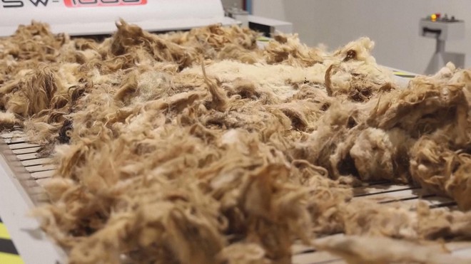 Biến lông cừu thừa thành phân bón hữu cơ tại Croatia- Ảnh 5.