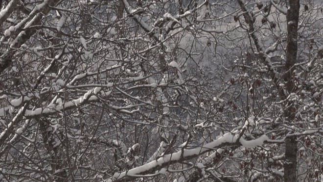 Tuyết phủ trắng dãy Alpes thuộc Pháp giữa mùa thu- Ảnh 4. Tuyết phủ trắng dãy Alpes thuộc Pháp giữa mùa thu- Ảnh 4.