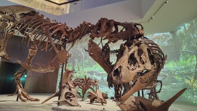 Du hành 13,8 tỷ năm tại bảo tàng lớn nhất Trung Đông - Ảnh 3.