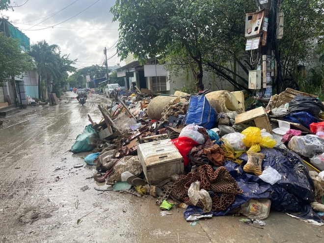 Khánh Hòa cấp tập thu dọn lượng rác khổng lồ ở phường Tây Nha Trang - Ảnh 11.