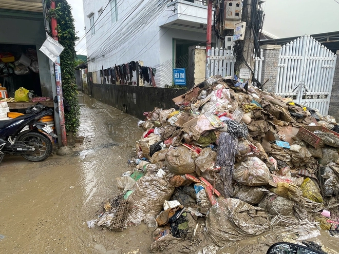 Khánh Hòa cấp tập thu dọn lượng rác khổng lồ ở phường Tây Nha Trang - Ảnh 9.