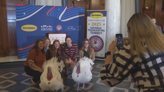 2 chú gà tây may mắn nhất nước Mỹ dịp Lễ Tạ ơn - Ảnh 5.