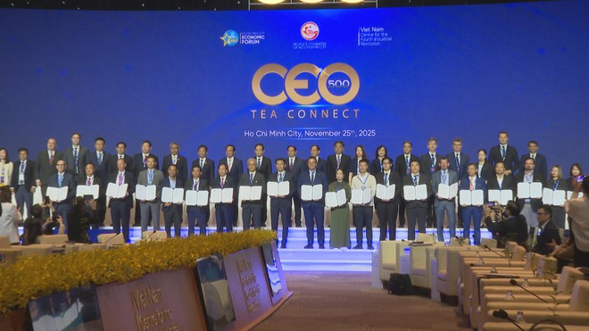 Thủ tướng Chính phủ Phạm Minh Chính chủ trì Phiên đối thoại CEO 500 - TEA CONNECT - Ảnh 11.