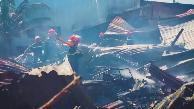 60 Giây ngày 27/11/2025 I TP. Hồ Chí Minh: Chủ nuôi chó mèo bắt buộc phải khai báo với chính quyền - Ảnh 5.