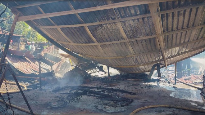 60 Giây ngày 27/11/2025 I TP. Hồ Chí Minh: Chủ nuôi chó mèo bắt buộc phải khai báo với chính quyền - Ảnh 6.