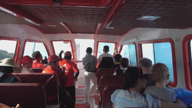 60 Giây ngày 27/11/2025 I TP. Hồ Chí Minh: Chủ nuôi chó mèo bắt buộc phải khai báo với chính quyền - Ảnh 1.