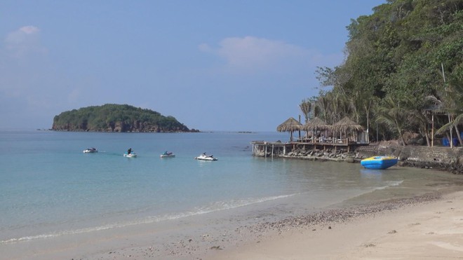 60 Giây ngày 27/11/2025 I TP. Hồ Chí Minh: Chủ nuôi chó mèo bắt buộc phải khai báo với chính quyền - Ảnh 2.