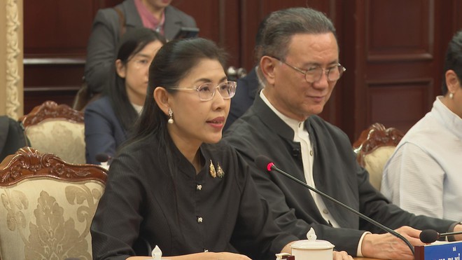 TP. Hồ Chí Minh tăng cường hợp tác đa lĩnh vực với các nước trong khu vực - Ảnh 1.