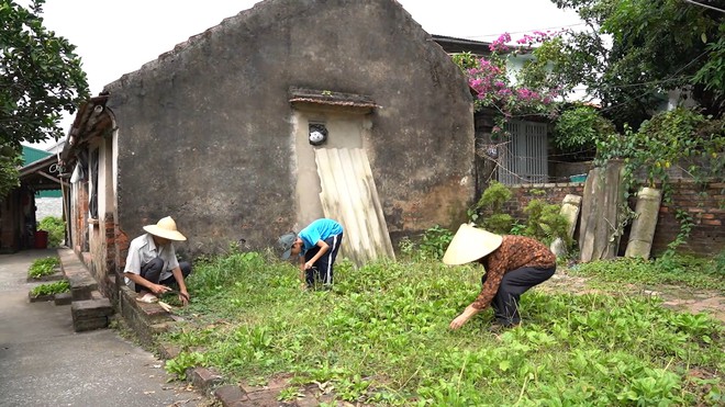 Trí Hào không biết cha, mẹ tâm thần, sống nương tựa ông bà già yếu - Mái ấm gia đình Việt - Ảnh 1.