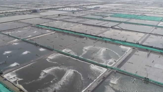 Nước sạch cho nông thôn: Phấn đấu hoàn thành mục tiêu 100% vào năm 2045 - Ảnh 7.