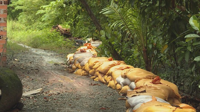 TP. Hồ Chí Minh chủ động triển khai ứng phó triều cường dâng cao  - Ảnh 5.