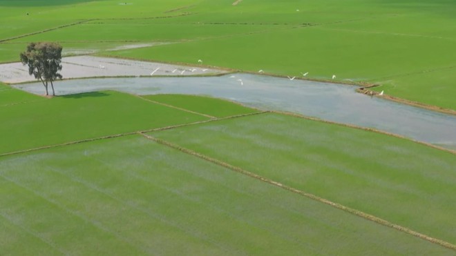 Nước sạch cho nông thôn: Phấn đấu hoàn thành mục tiêu 100% vào năm 2045 - Ảnh 5.