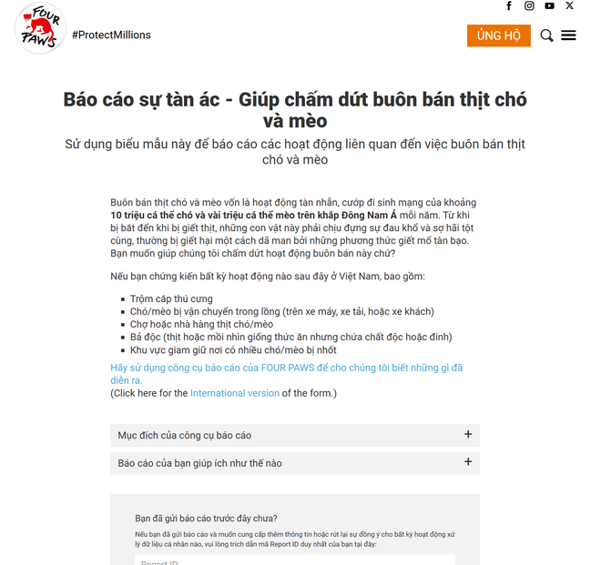 NewZround: Báo cáo sự tàn ác - Giúp chấm dứt buôn bán thịt chó và mèo - Ảnh 4.